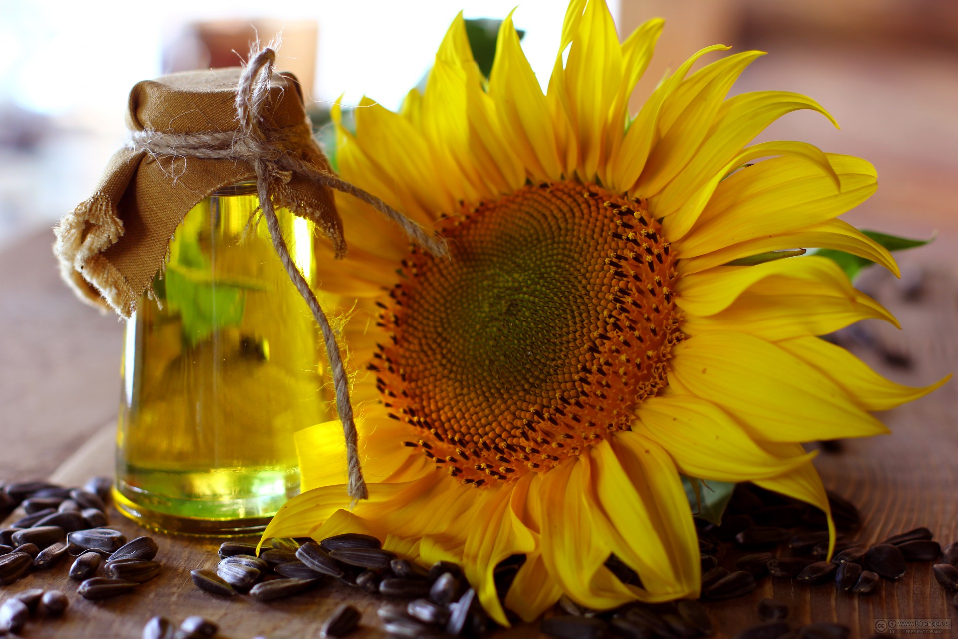 sunflower oil