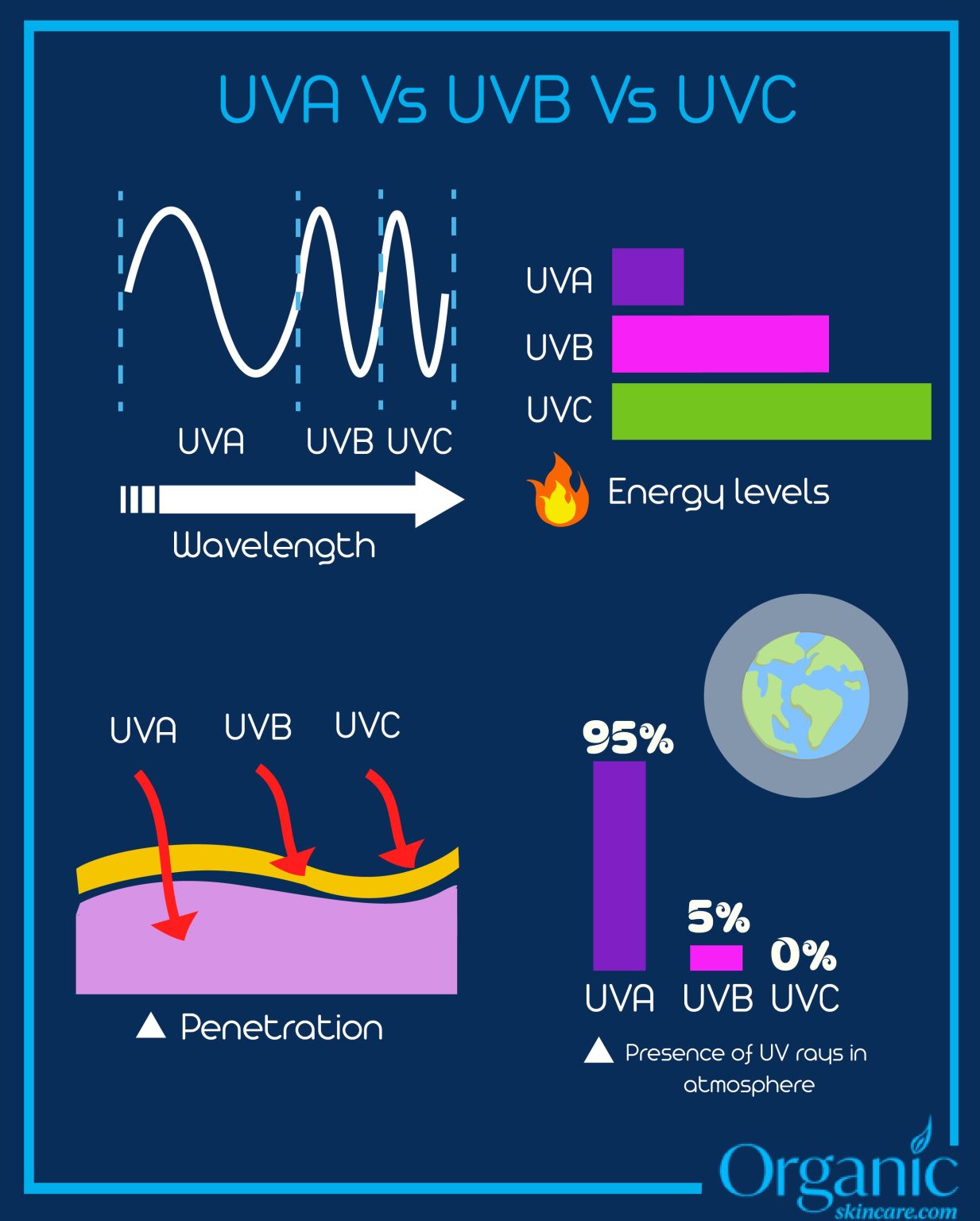 The Best Ingredients To Look For (and to avoid) Before You Buy