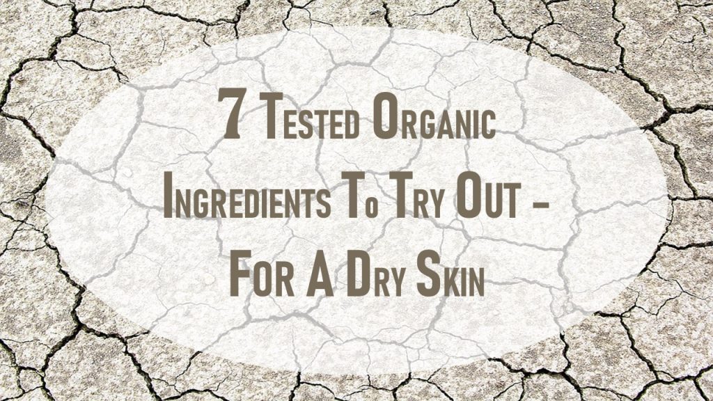 Lavish and Organic - 7 Ingredients to Heal a Dry Skin! 2
